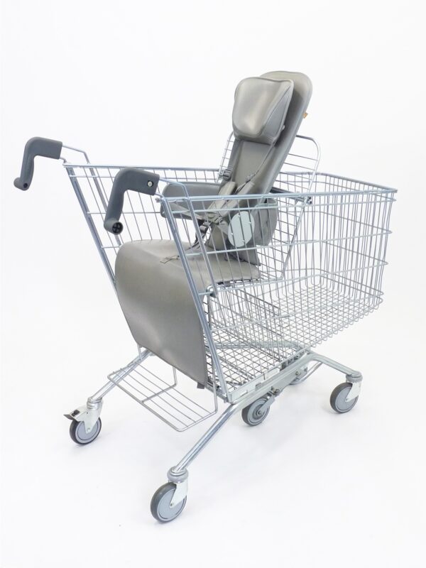 Child Disabled Trolley