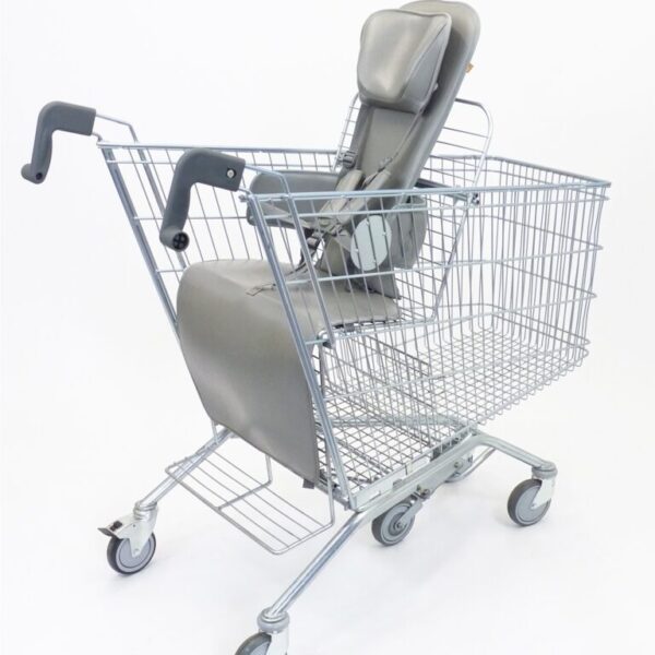 Child Disabled Trolley New